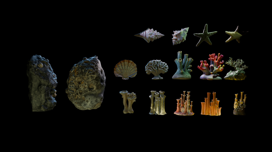 Reef Asset Pack Low-poly 3D model_4