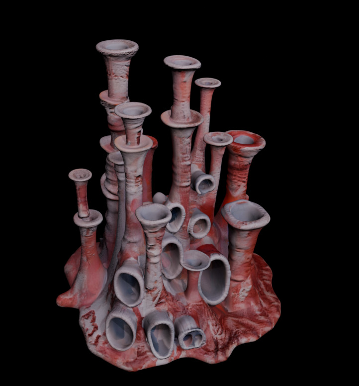 Reef Asset Pack Low-poly 3D model_13