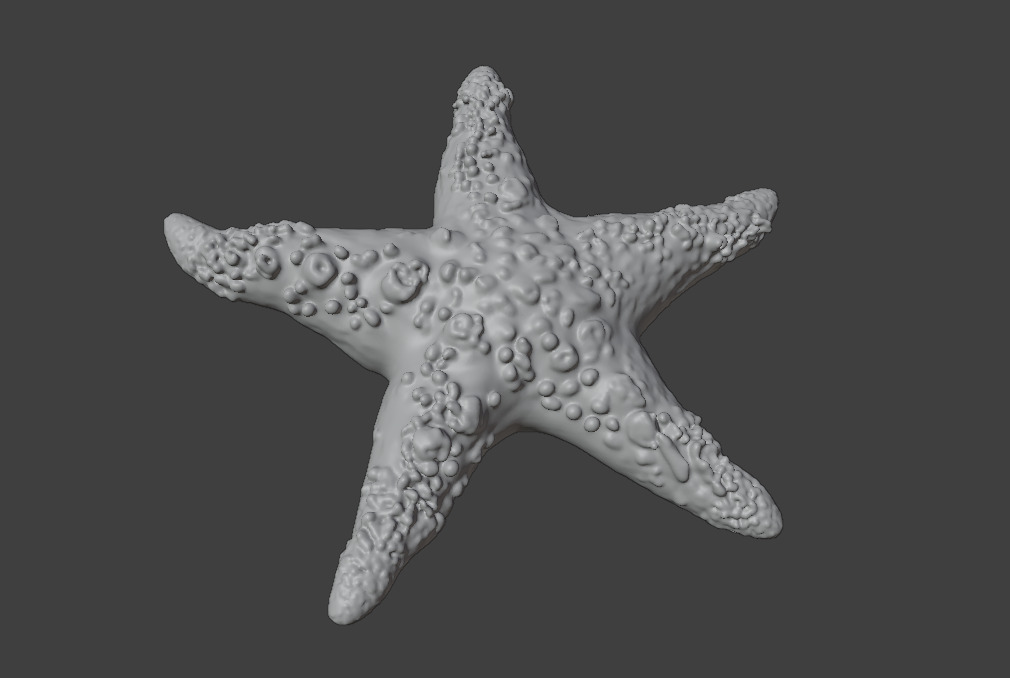 Reef Asset Pack Low-poly 3D model_21