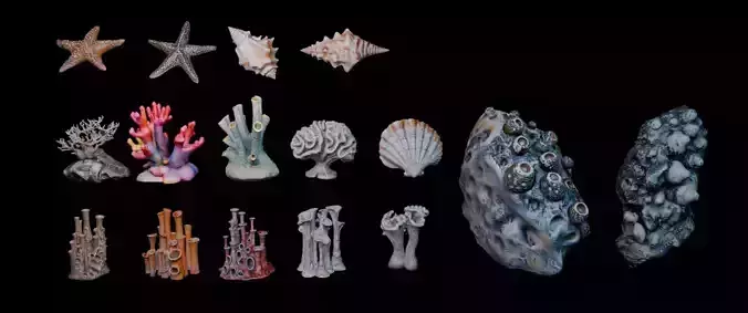Reef Asset Pack Low-poly 3D model