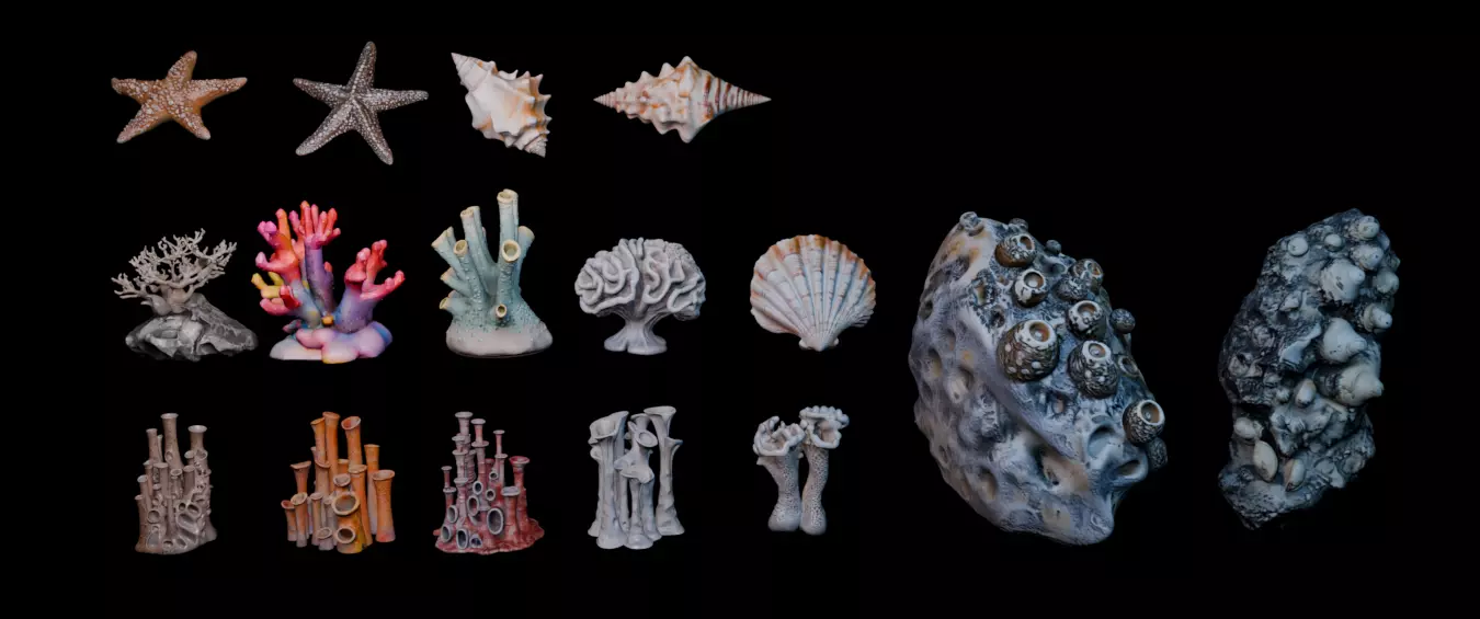 Reef Asset Pack Low-poly 3D model_0