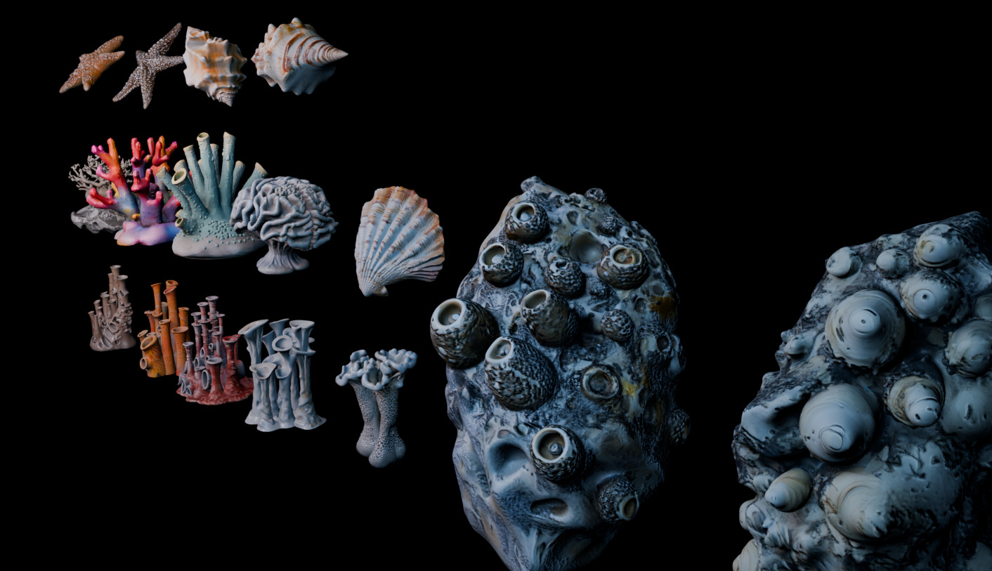 Reef Asset Pack Low-poly 3D model_3