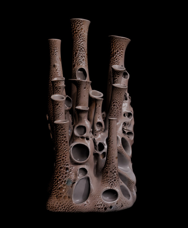 Reef Asset Pack Low-poly 3D model_12