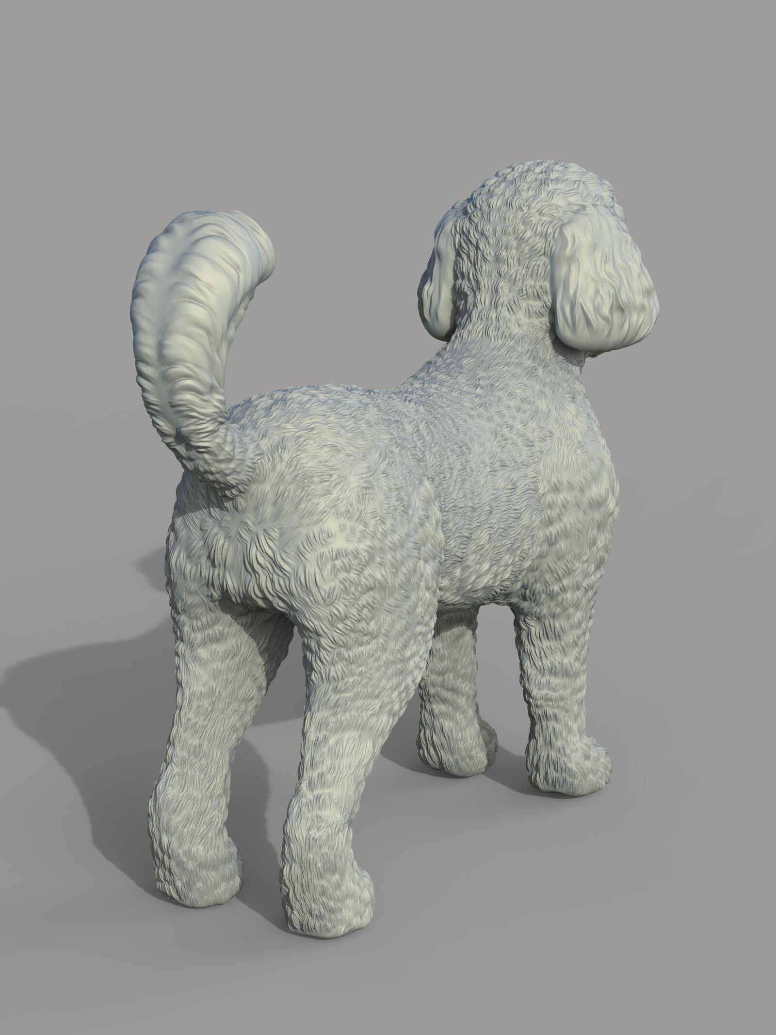 Caniche toy - Poodle 3D print model_2