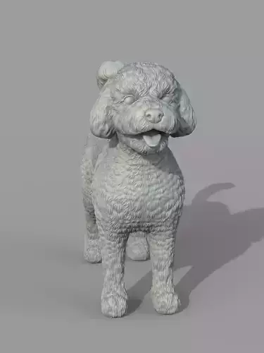 Caniche toy -  Poodle 3D print model