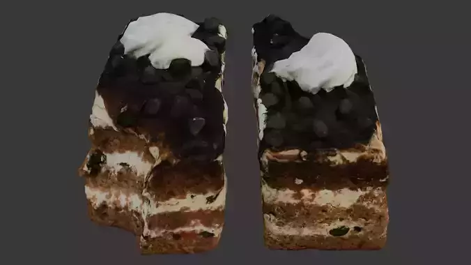 Chocolate Chip Cake Slice Scan