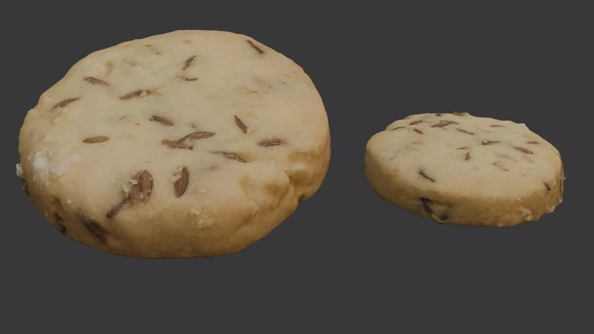 Fennel Cookie Scan Low-poly 3D model_0