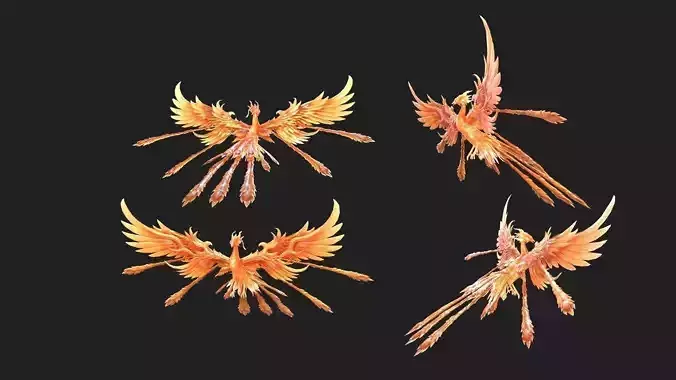 4 complete Fire Phoenix animations