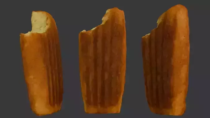 Bitten Pastry Roll Scan