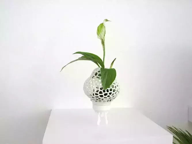 Mini Plant Space Rocket with Pot 3D print model