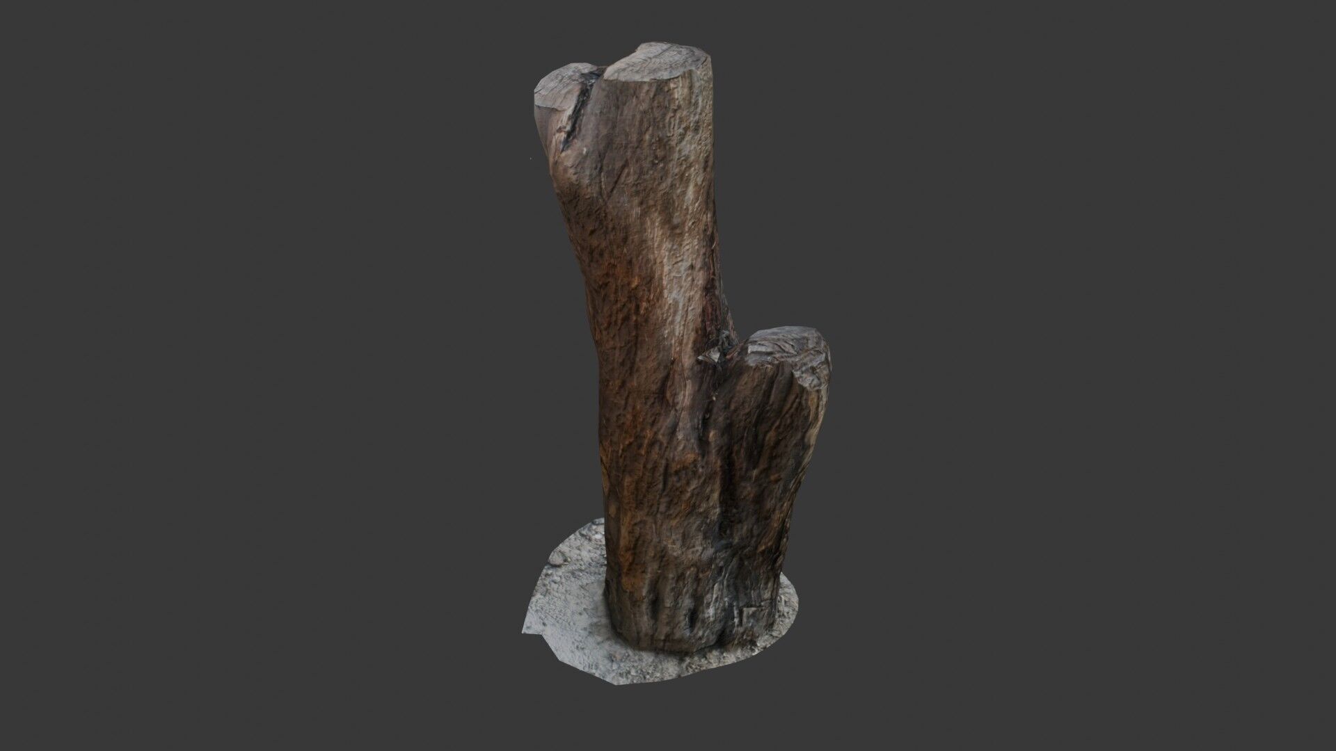 Weathered Tree Stump Low-poly 3D model_7