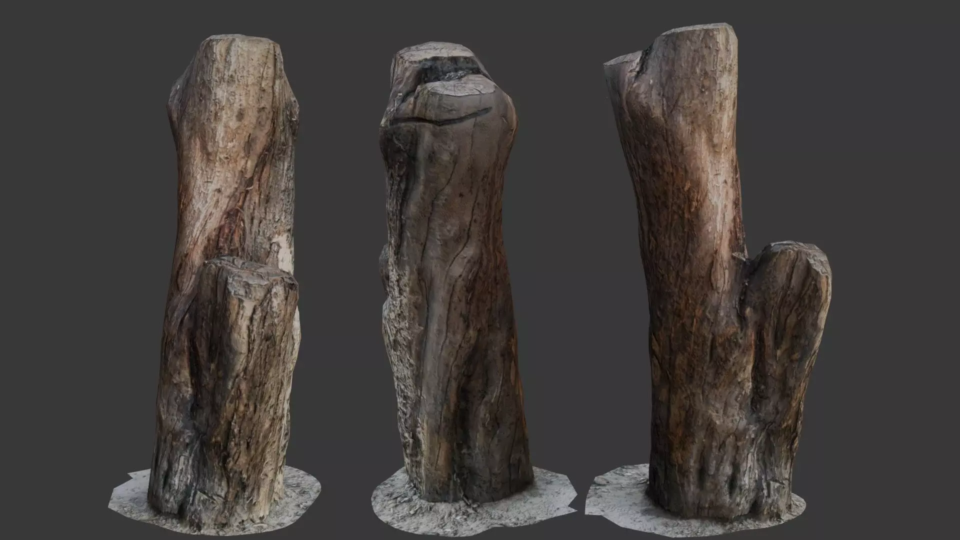 Weathered Tree Stump Low-poly 3D model_0
