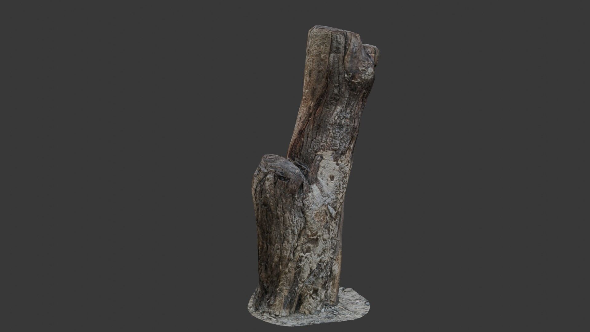 Weathered Tree Stump Low-poly 3D model_5