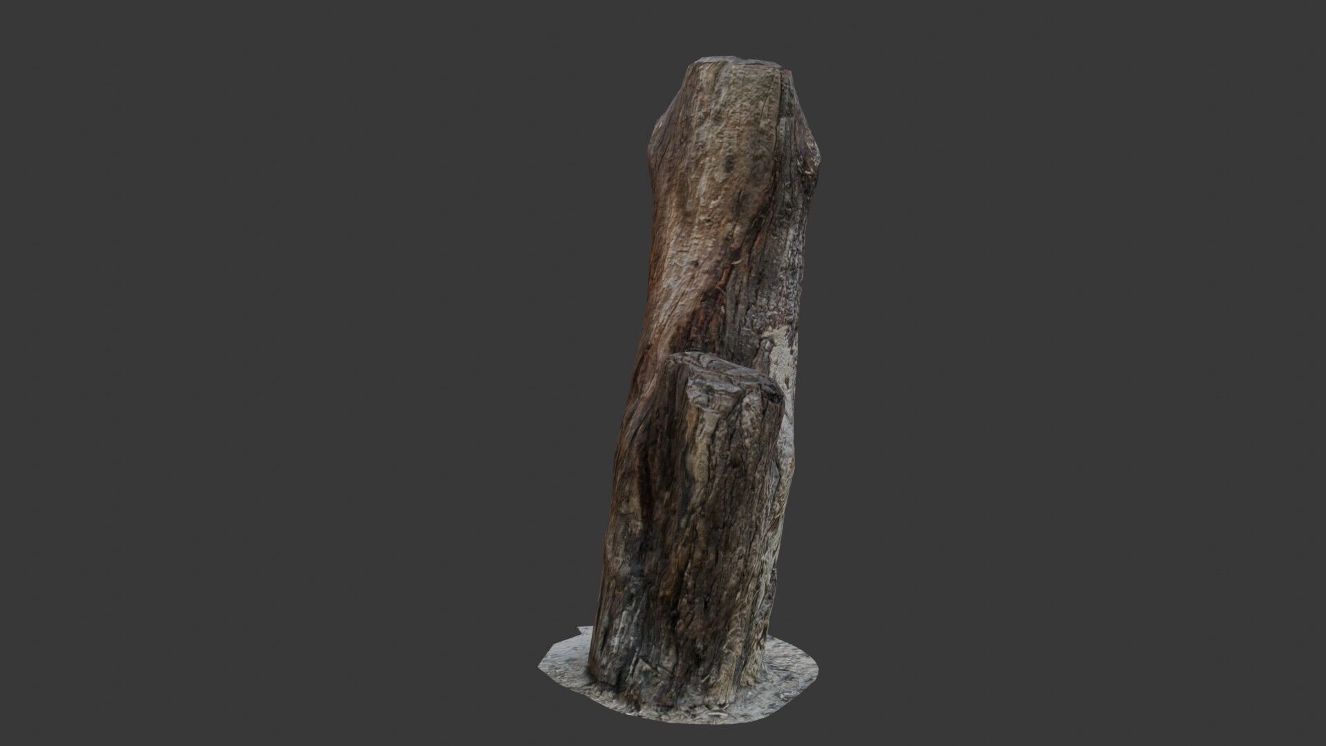 Weathered Tree Stump Low-poly 3D model_6