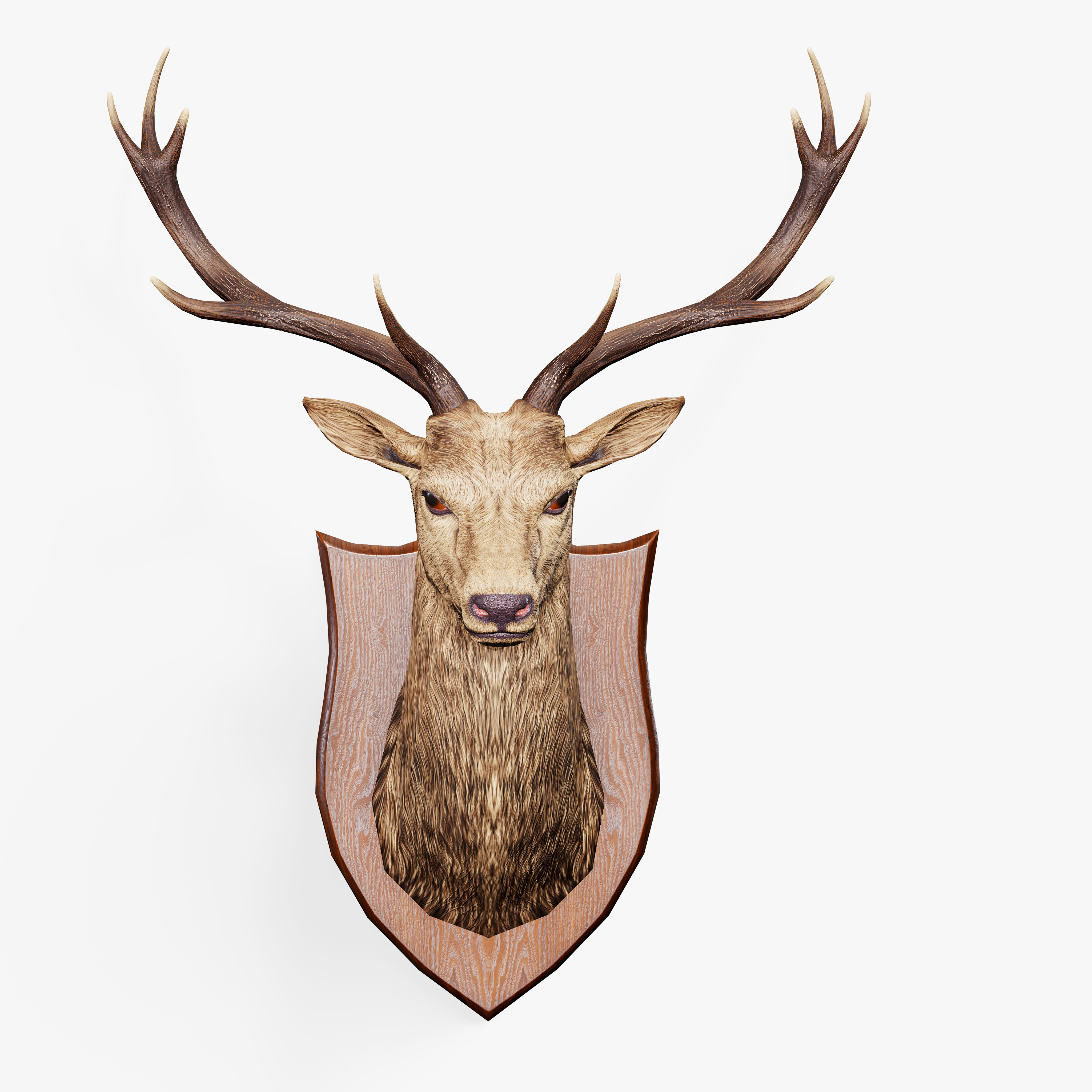 Trophy Deer Stag Low-poly 3D model_2