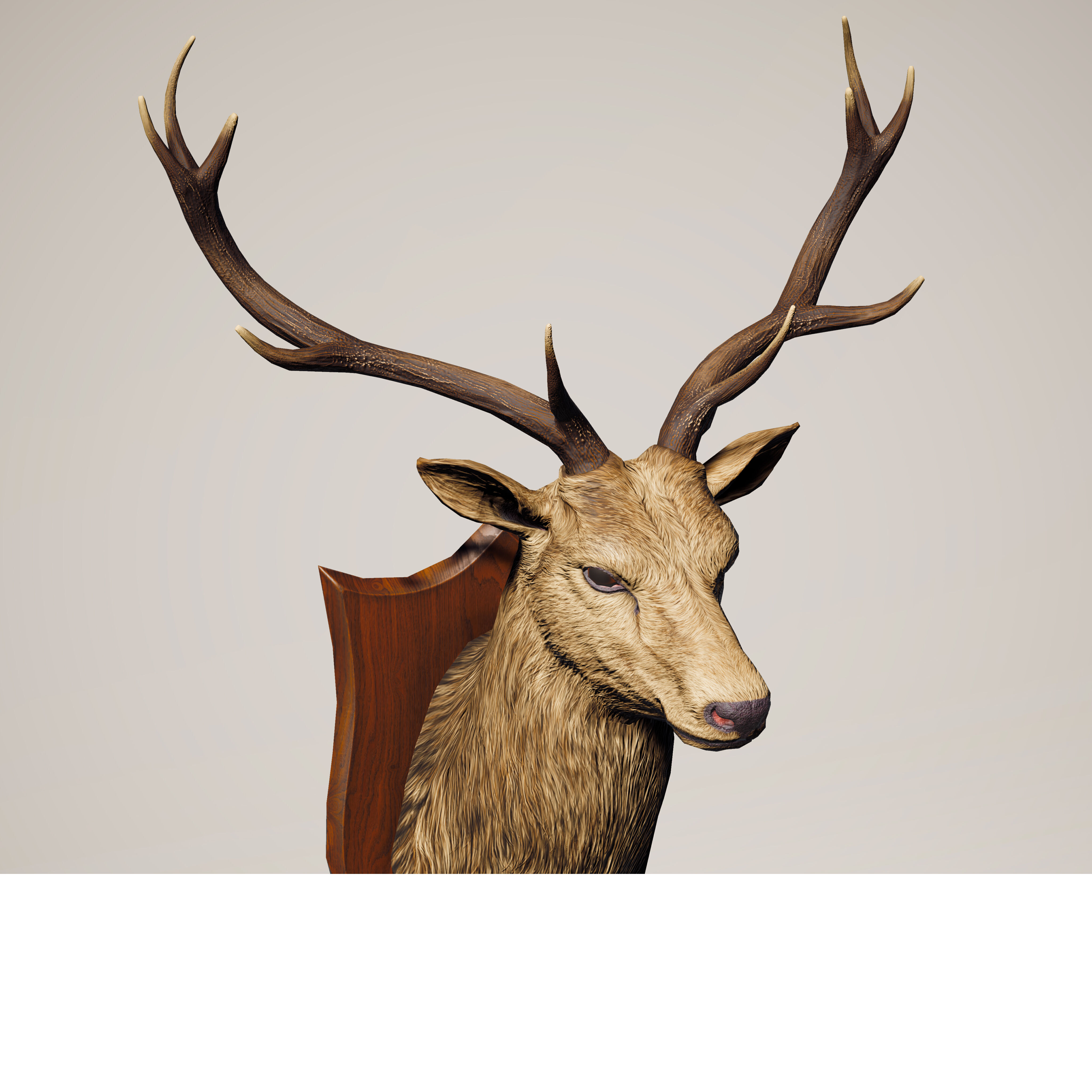 Trophy Deer Stag Low-poly 3D model_15