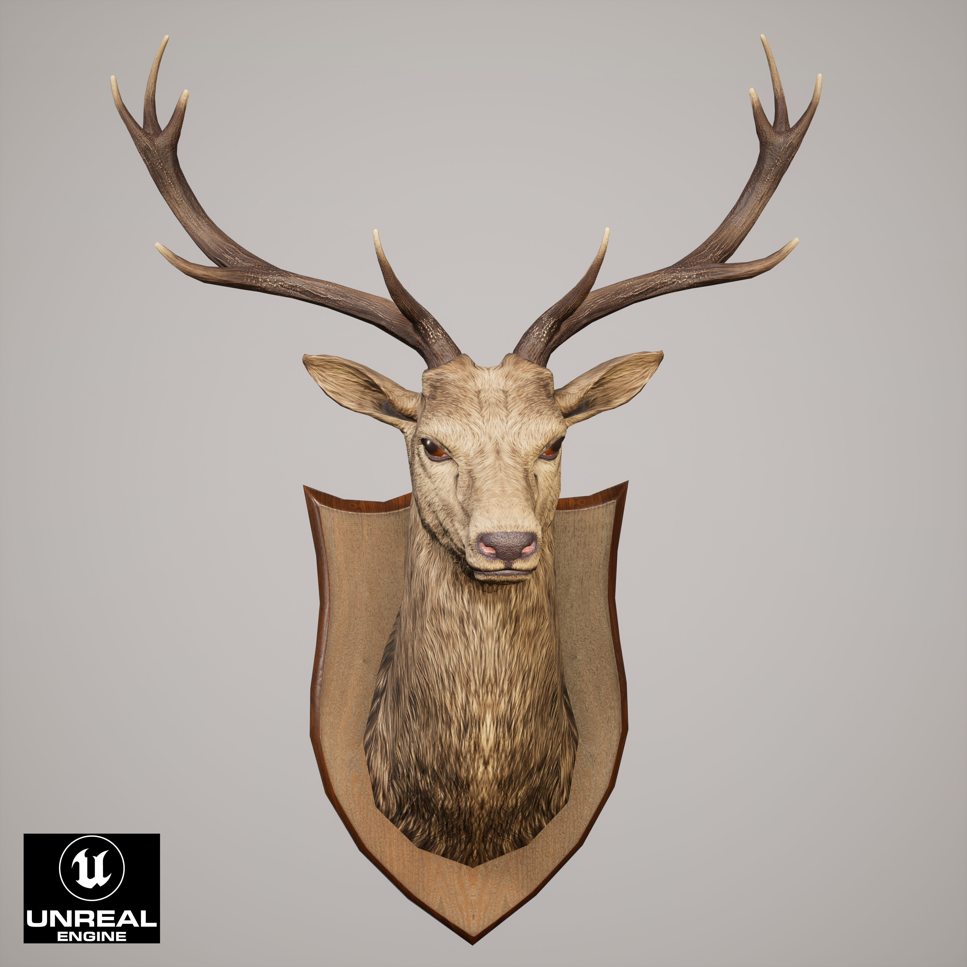 Trophy Deer Stag Low-poly 3D model_14