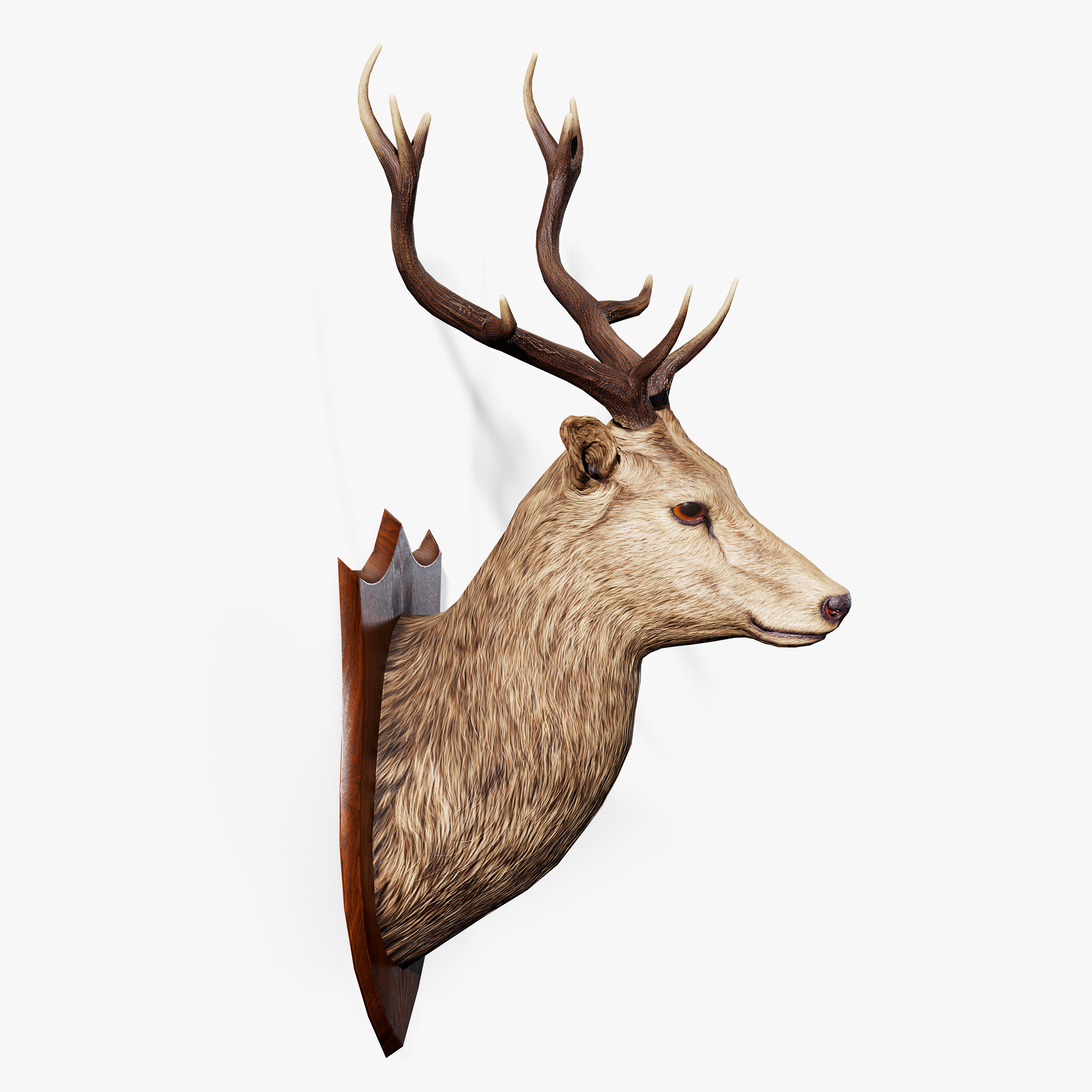 Trophy Deer Stag Low-poly 3D model_5