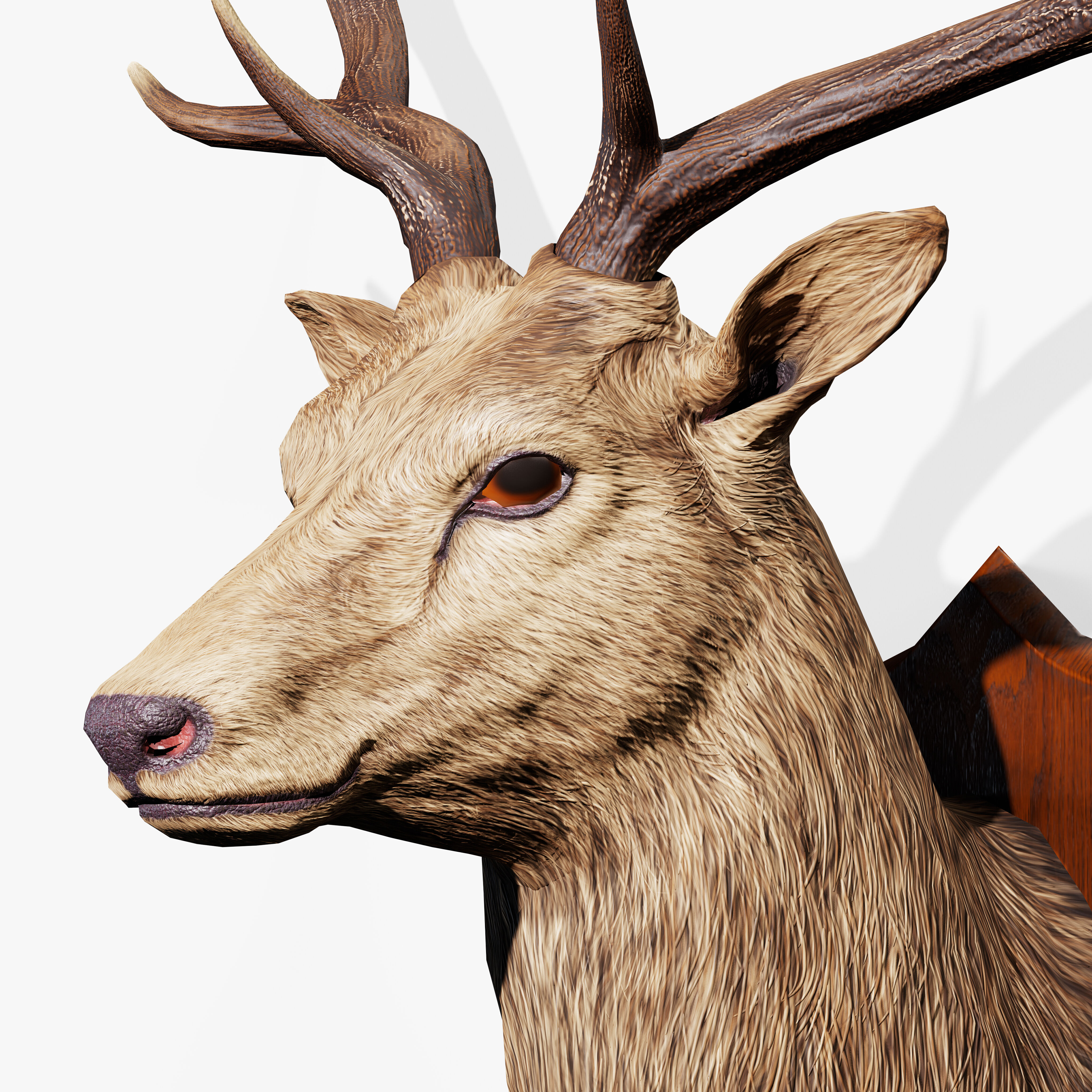 Trophy Deer Stag Low-poly 3D model_10