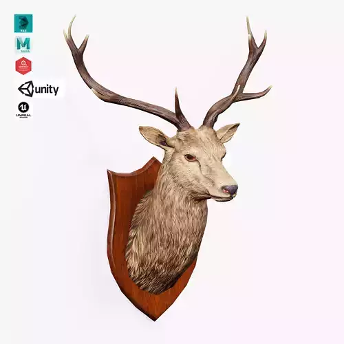 Trophy Deer Stag Low-poly 3D model