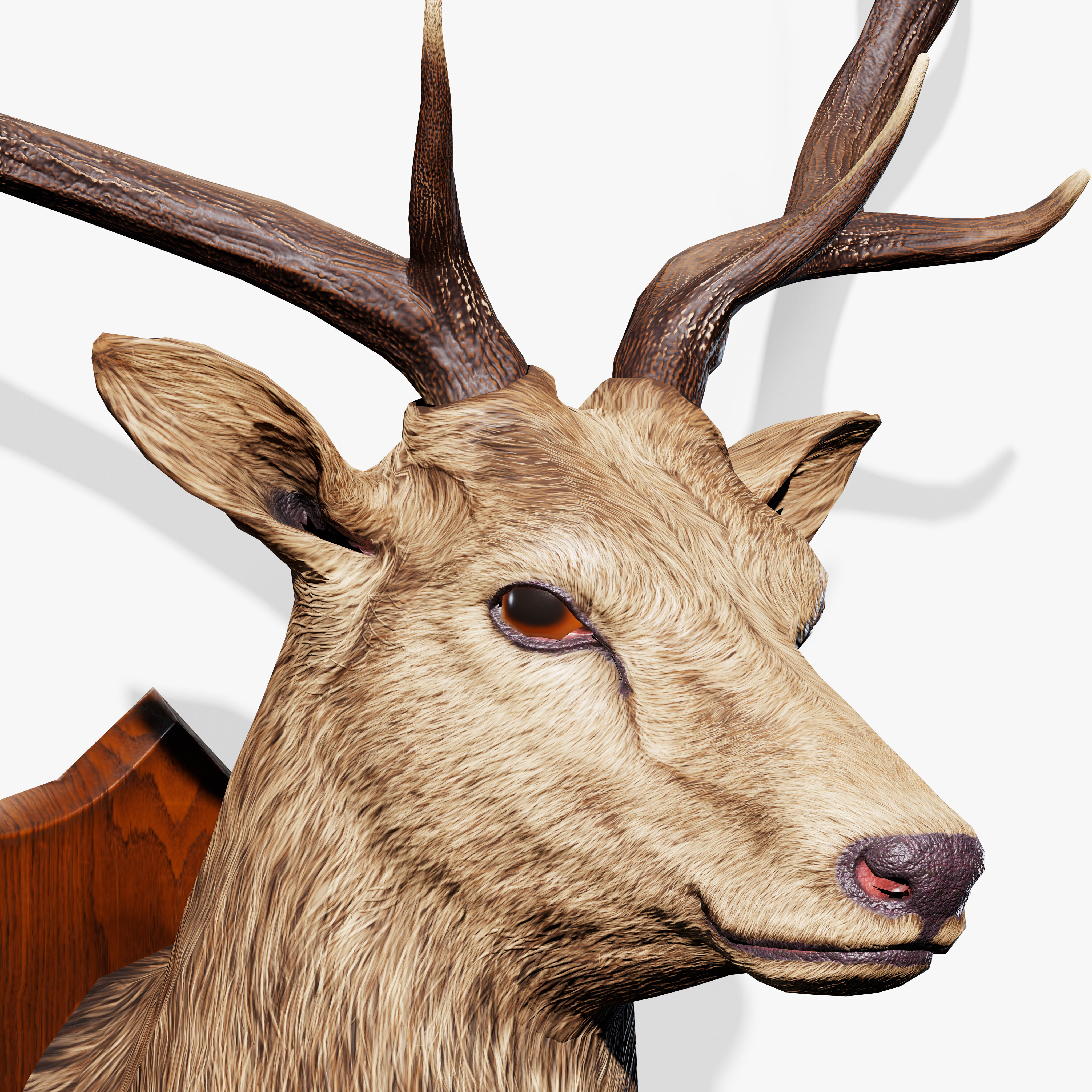Trophy Deer Stag Low-poly 3D model_7
