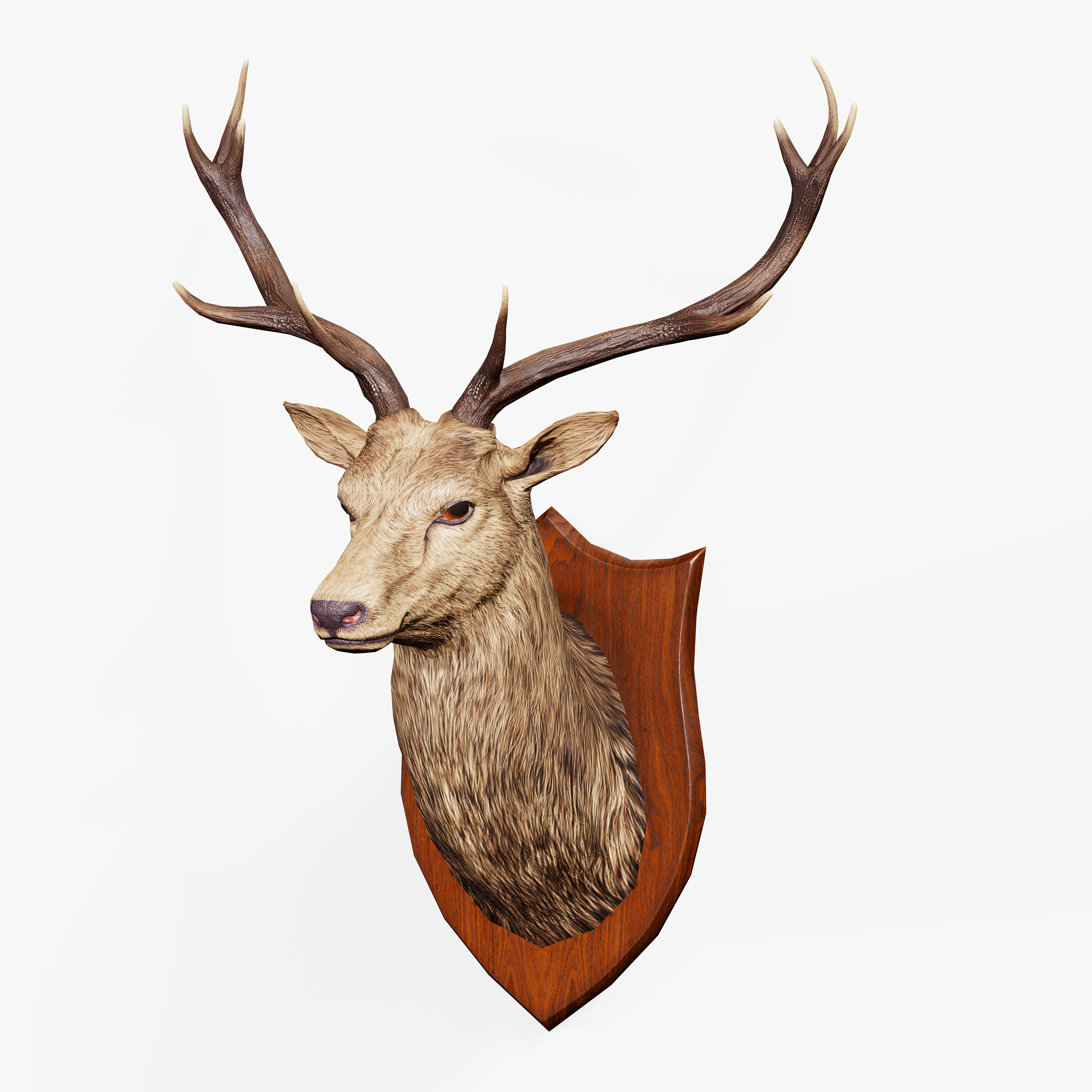 Trophy Deer Stag Low-poly 3D model_3