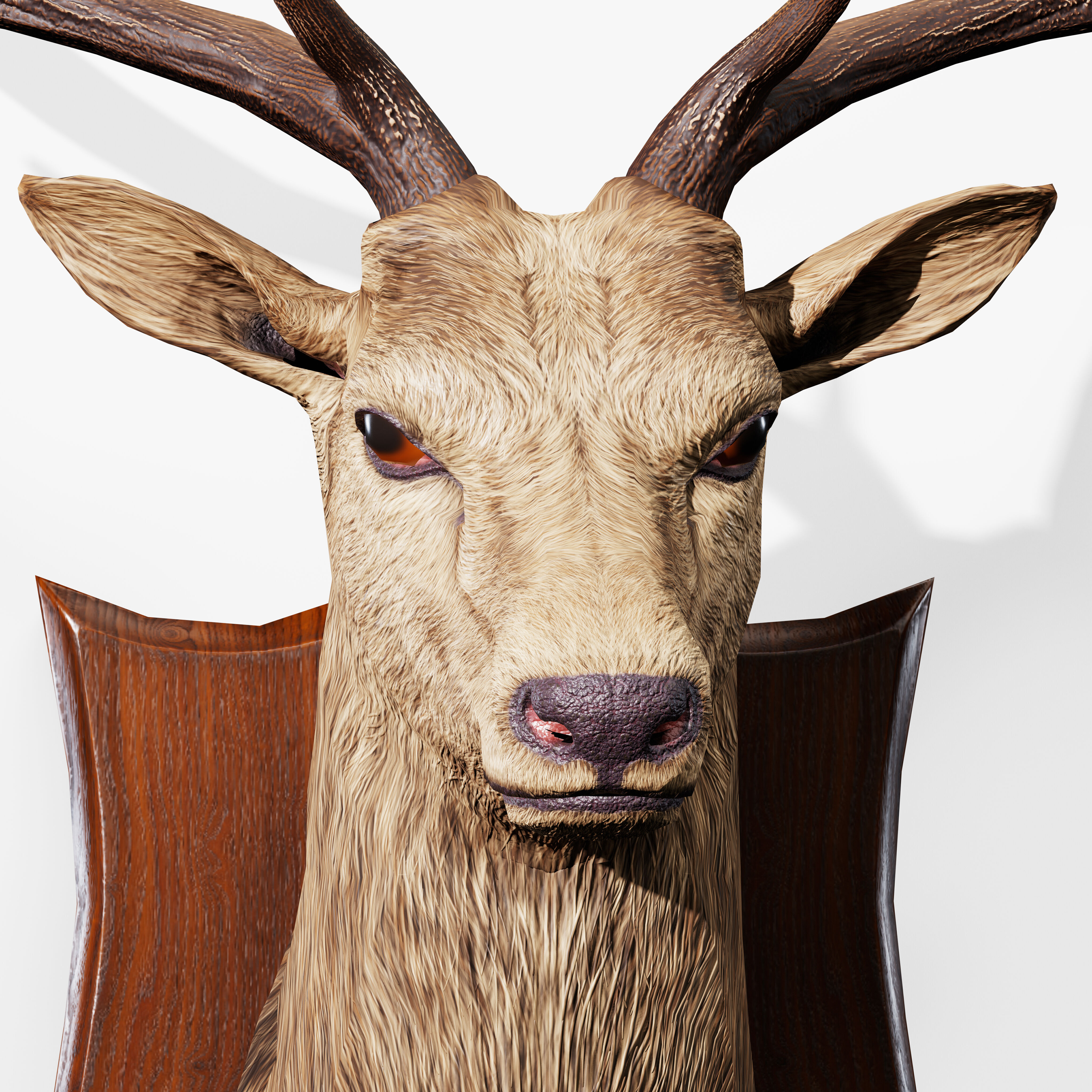 Trophy Deer Stag Low-poly 3D model_9