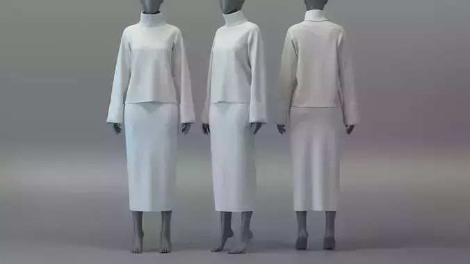 Turtleneck Sweater and Midi Skirt Set 3D model