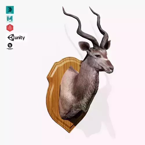 Trophy Kudu Low-poly 3D model