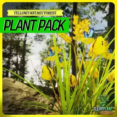 Yellow Fantasy Forest - 6 Sunburst Gem Fern Grass Plant