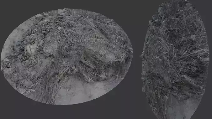 Organic Debris and Vegetation Texture Scan