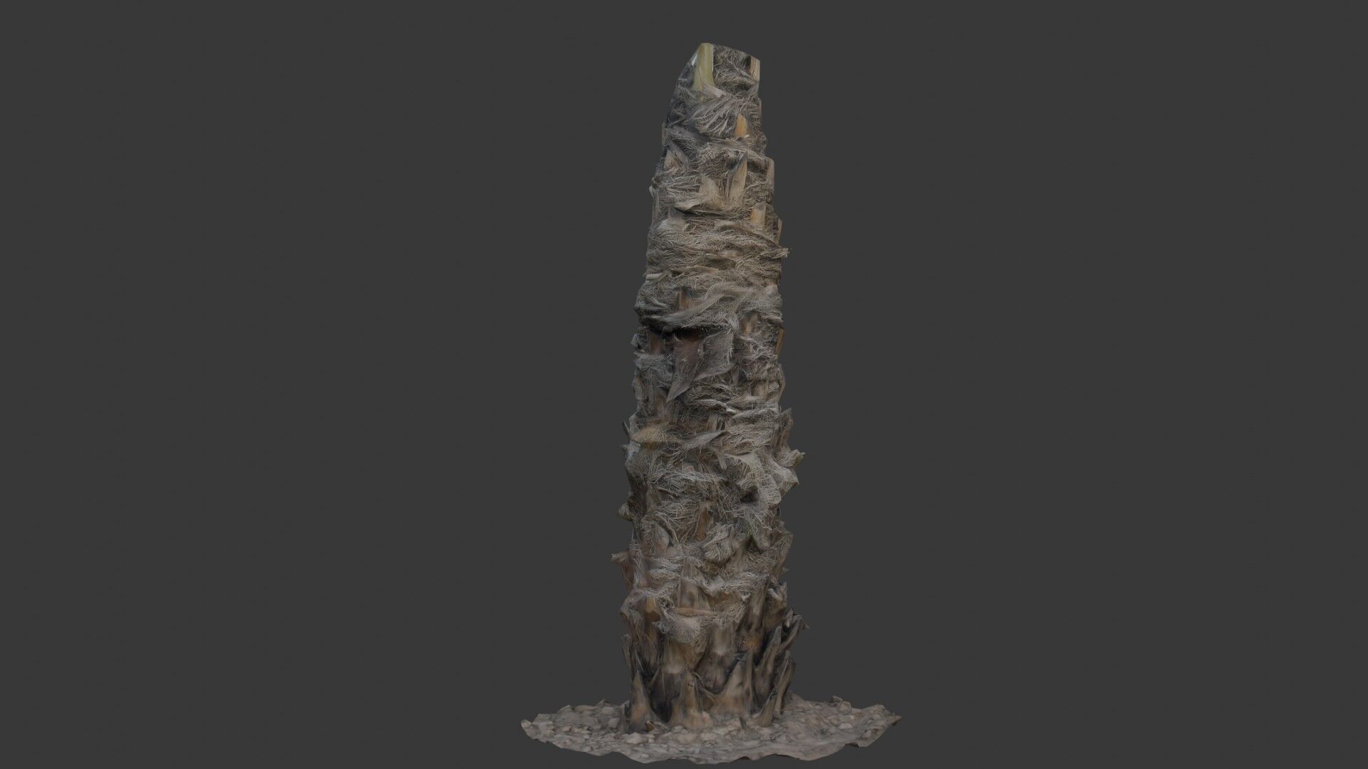 Palm Tree Trunk with Fiber Mesh Low-poly 3D model_1