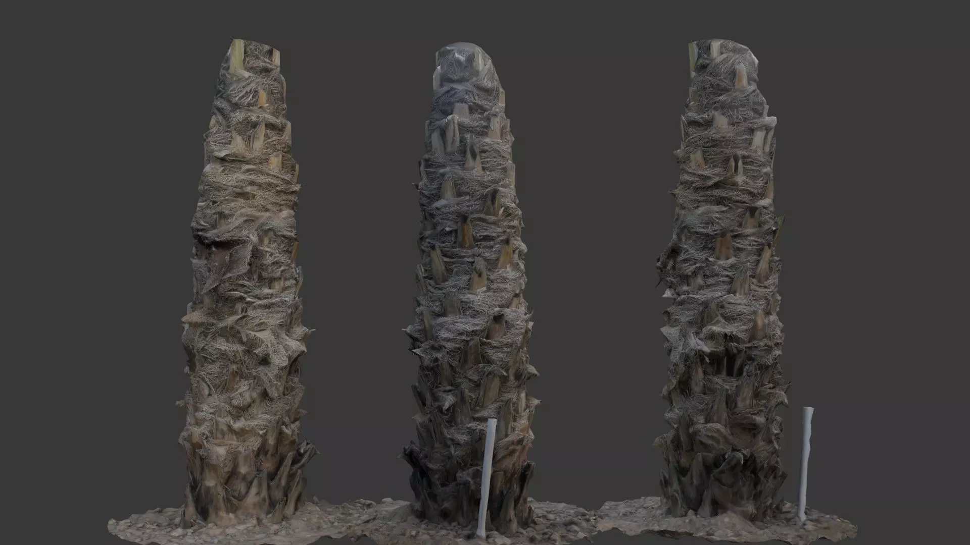 Palm Tree Trunk with Fiber Mesh Low-poly 3D model_0