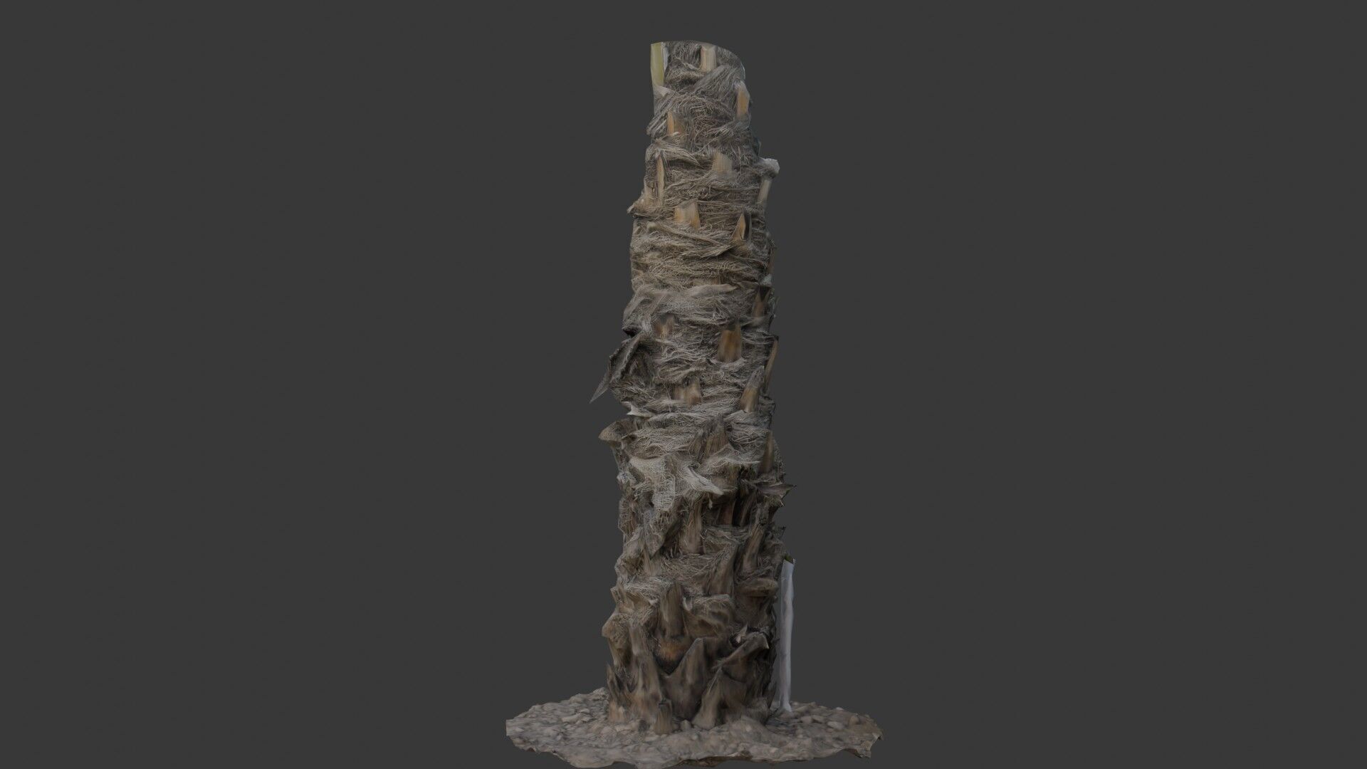 Palm Tree Trunk with Fiber Mesh Low-poly 3D model_4