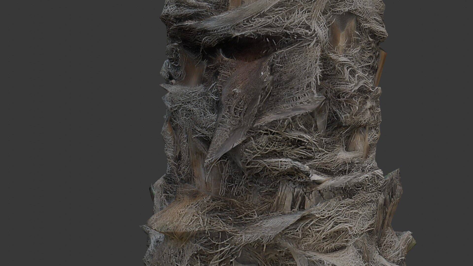 Palm Tree Trunk with Fiber Mesh Low-poly 3D model_3