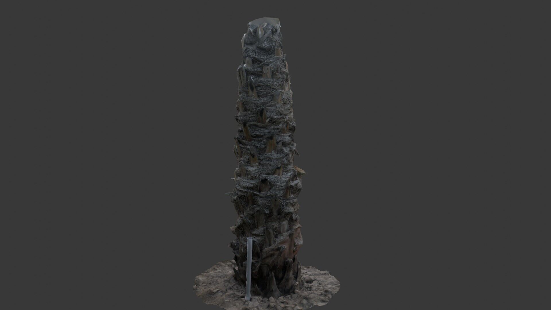 Palm Tree Trunk with Fiber Mesh Low-poly 3D model_7