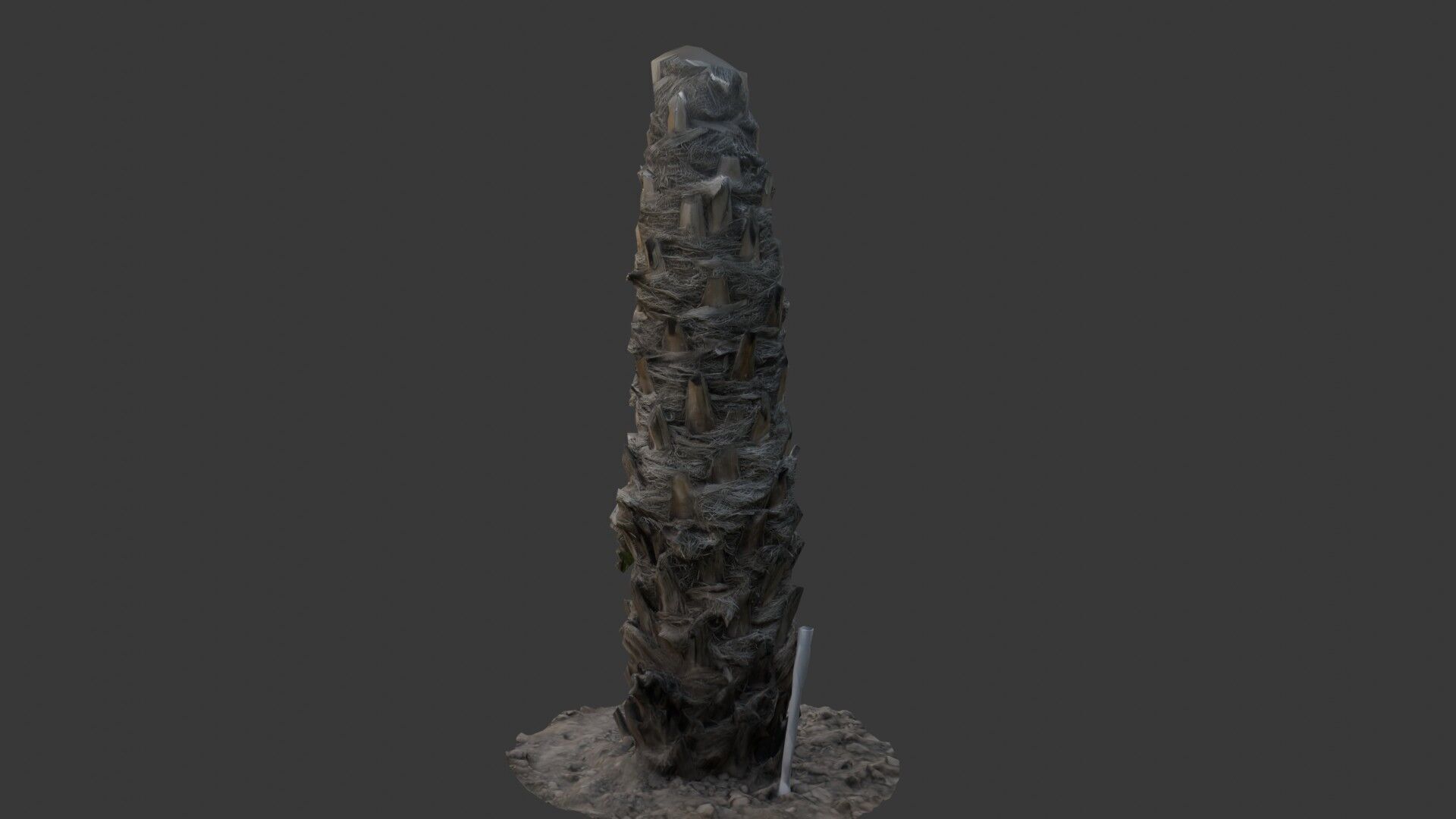 Palm Tree Trunk with Fiber Mesh Low-poly 3D model_6