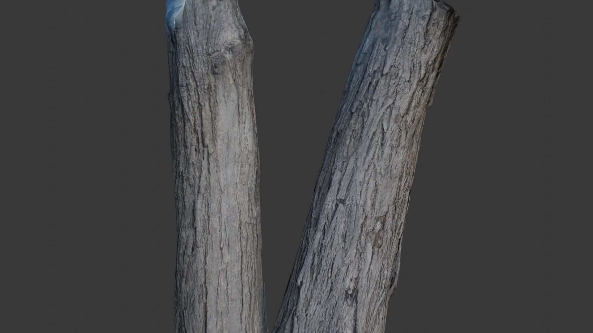 Tree Trunks with Bark Texture Low-poly 3D model_3