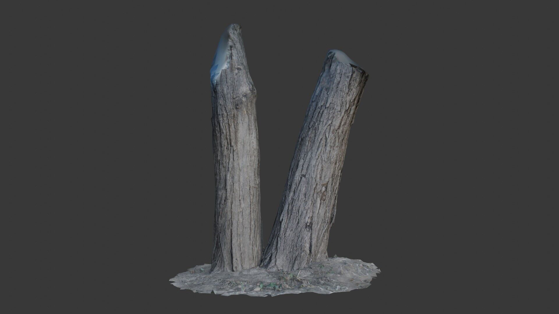 Tree Trunks with Bark Texture Low-poly 3D model_1