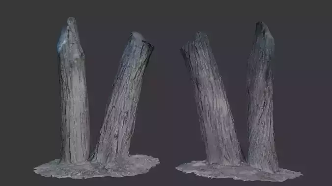 Tree Trunks with Bark Texture