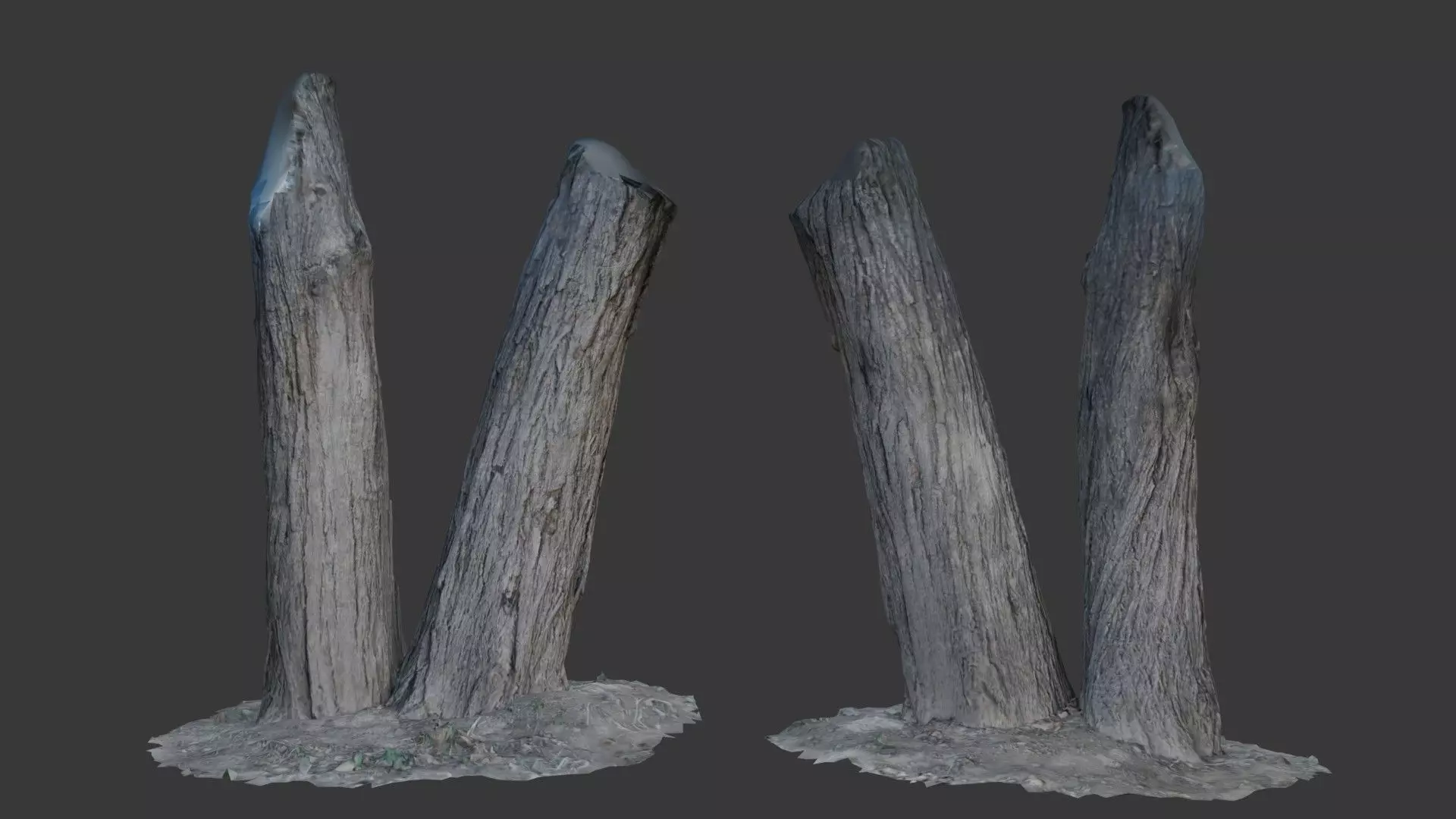 Tree Trunks with Bark Texture Low-poly 3D model_0