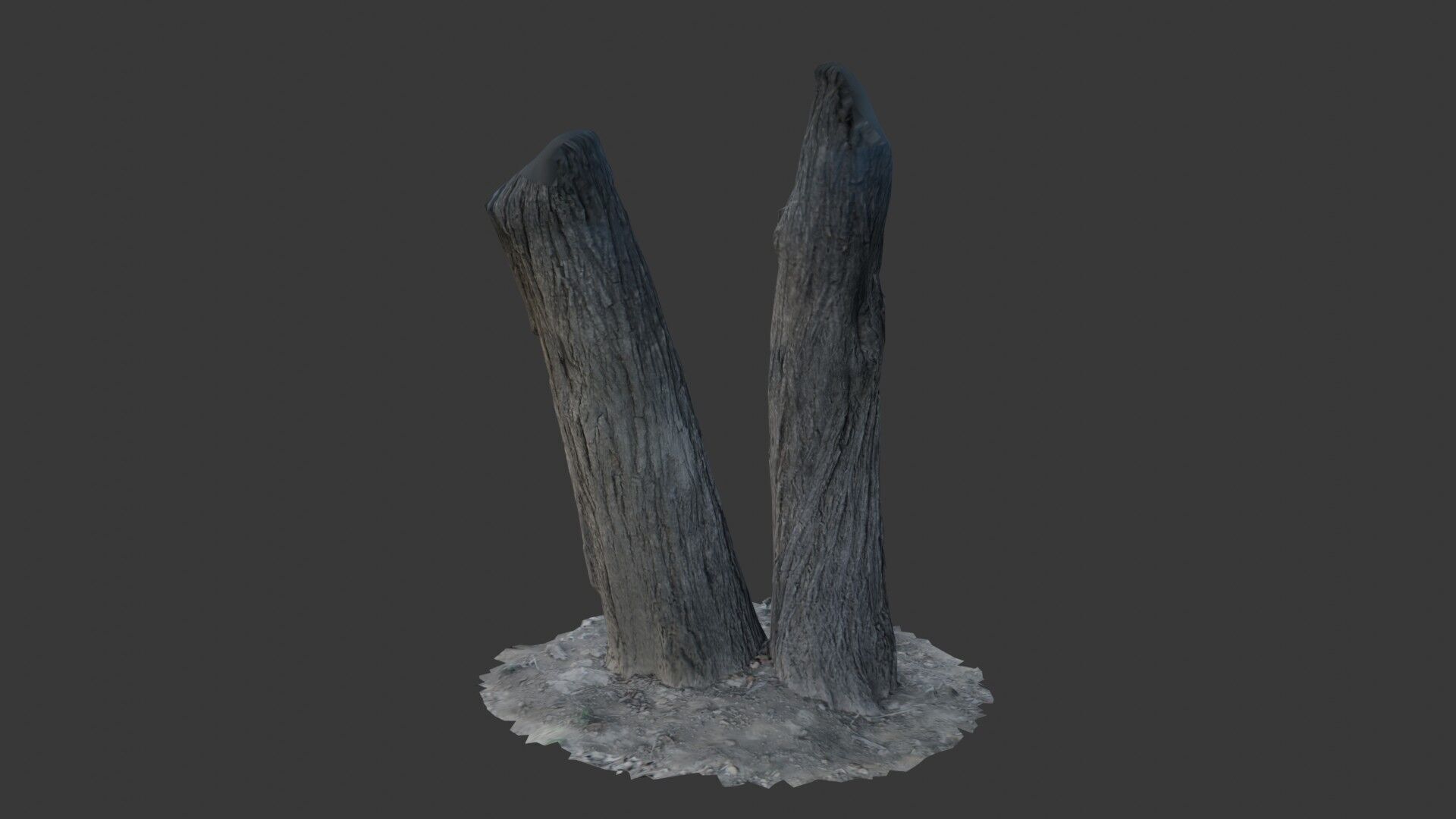Tree Trunks with Bark Texture Low-poly 3D model_5