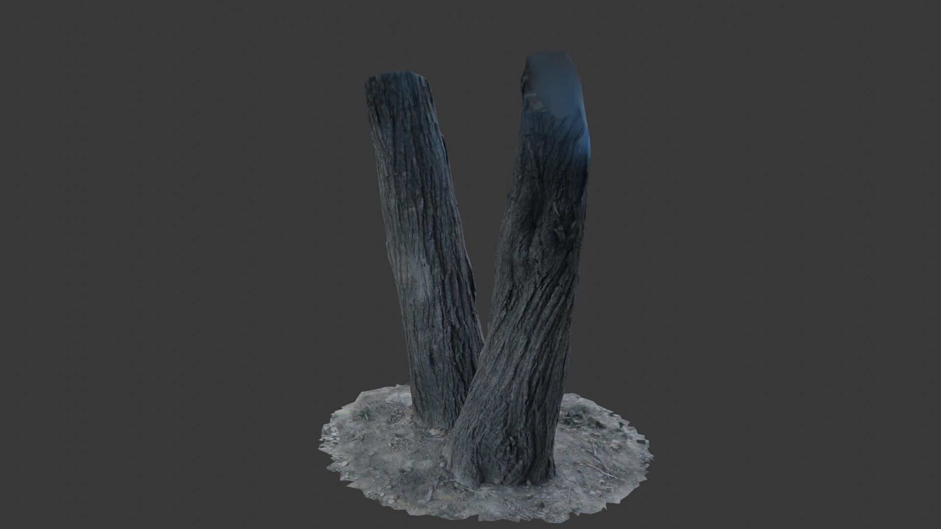 Tree Trunks with Bark Texture Low-poly 3D model_6