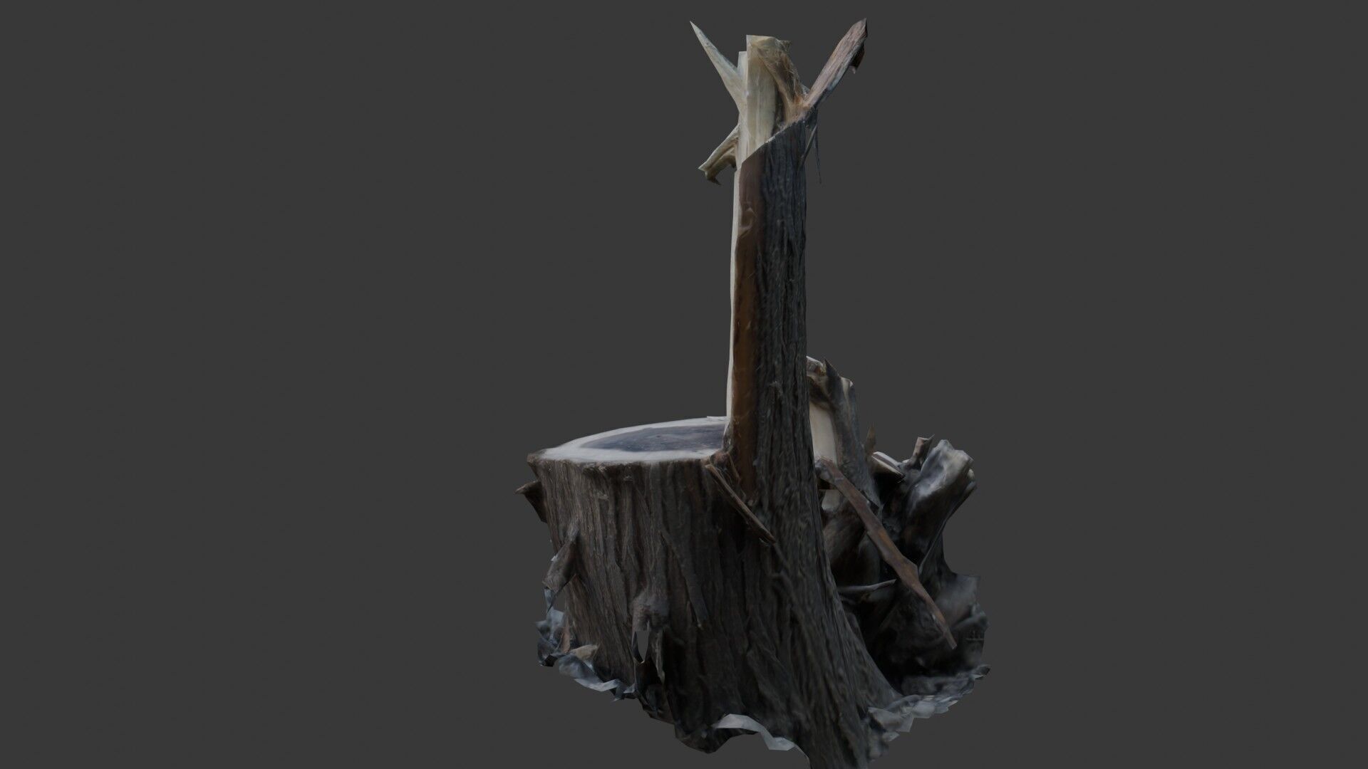 Tree Stump with Broken Branches Low-poly 3D model_6