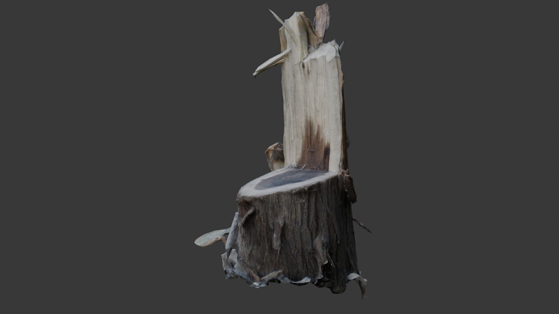 Tree Stump with Broken Branches Low-poly 3D model_5