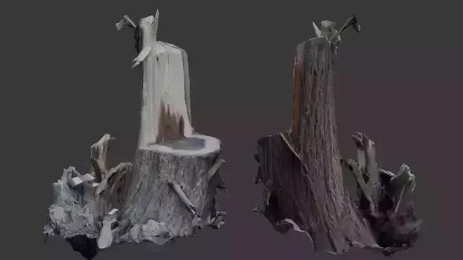 Tree Stump with Broken Branches