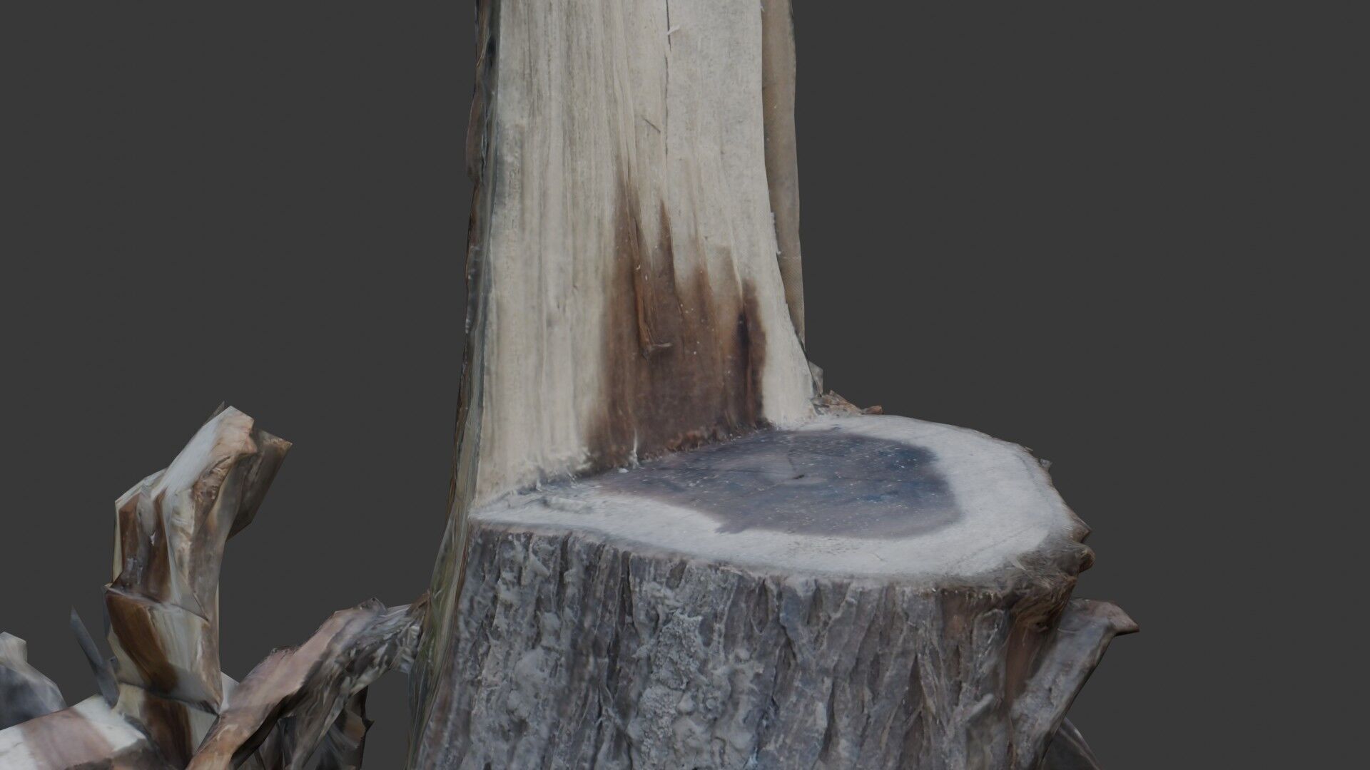 Tree Stump with Broken Branches Low-poly 3D model_3