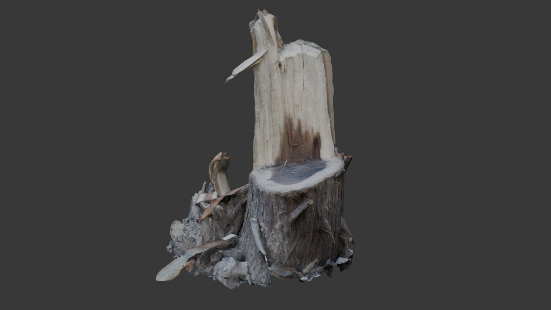 Tree Stump with Broken Branches Low-poly 3D model_4