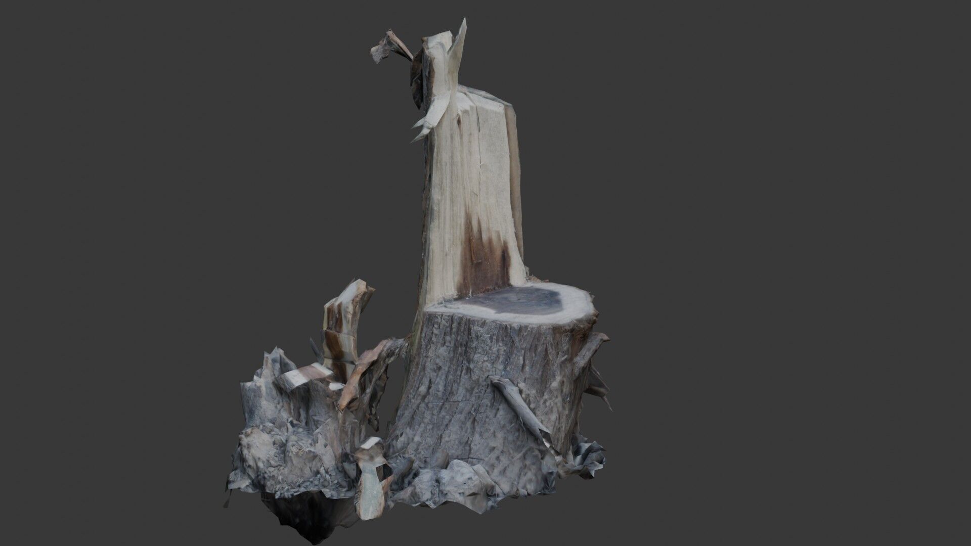 Tree Stump with Broken Branches Low-poly 3D model_1