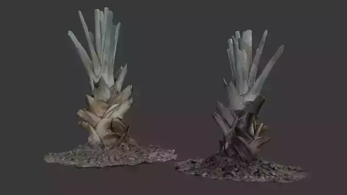 Palm Tree Stump with Green Fronds